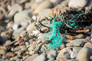 Plastic Pollution in our oceans, our beaches and waterways