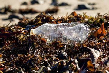 Marine-i and Plymouth University support research and development of Indikon-1