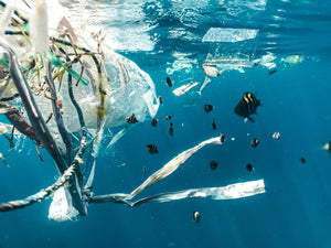 Microplastics Bill Introduced in the House of Commons