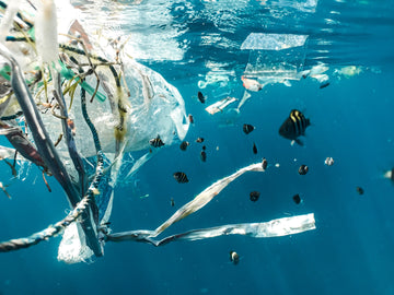 Microplastics Bill Introduced in the House of Commons