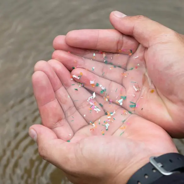 Microplastics In Hands