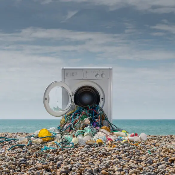 Alex Bamford Photography 6151+small