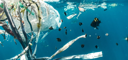 Microplastics Bill Introduced in the House of Commons 4 Image