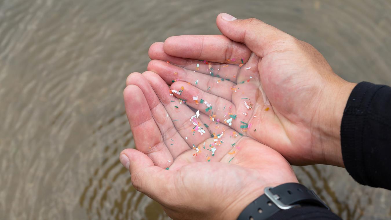 Microplastics 1 Microplastics In Hands