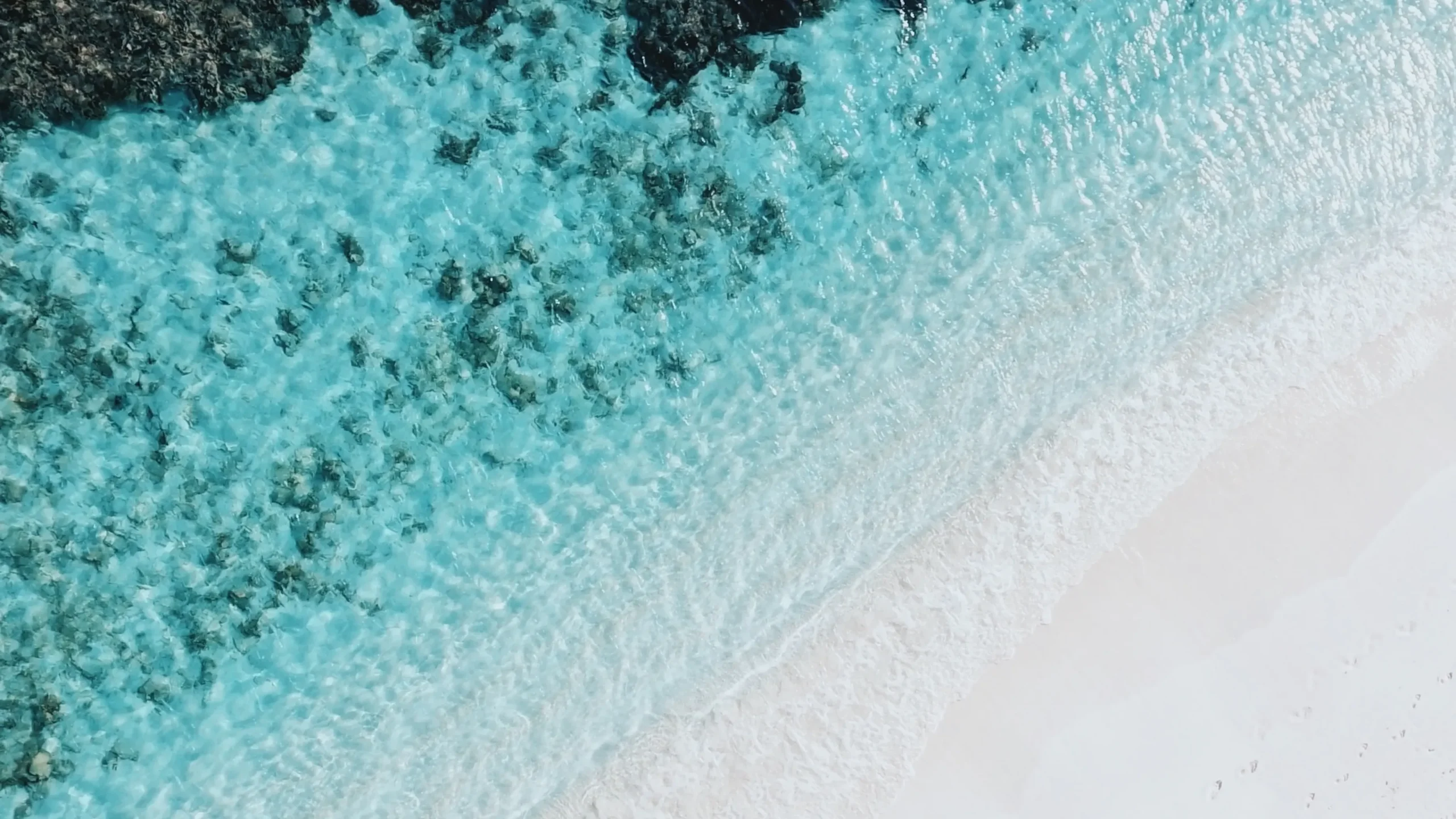 Cleaner Seas Legislation News