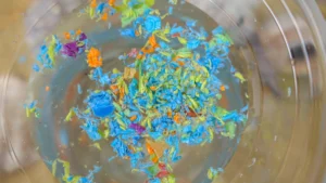 Microplastics In A Jar