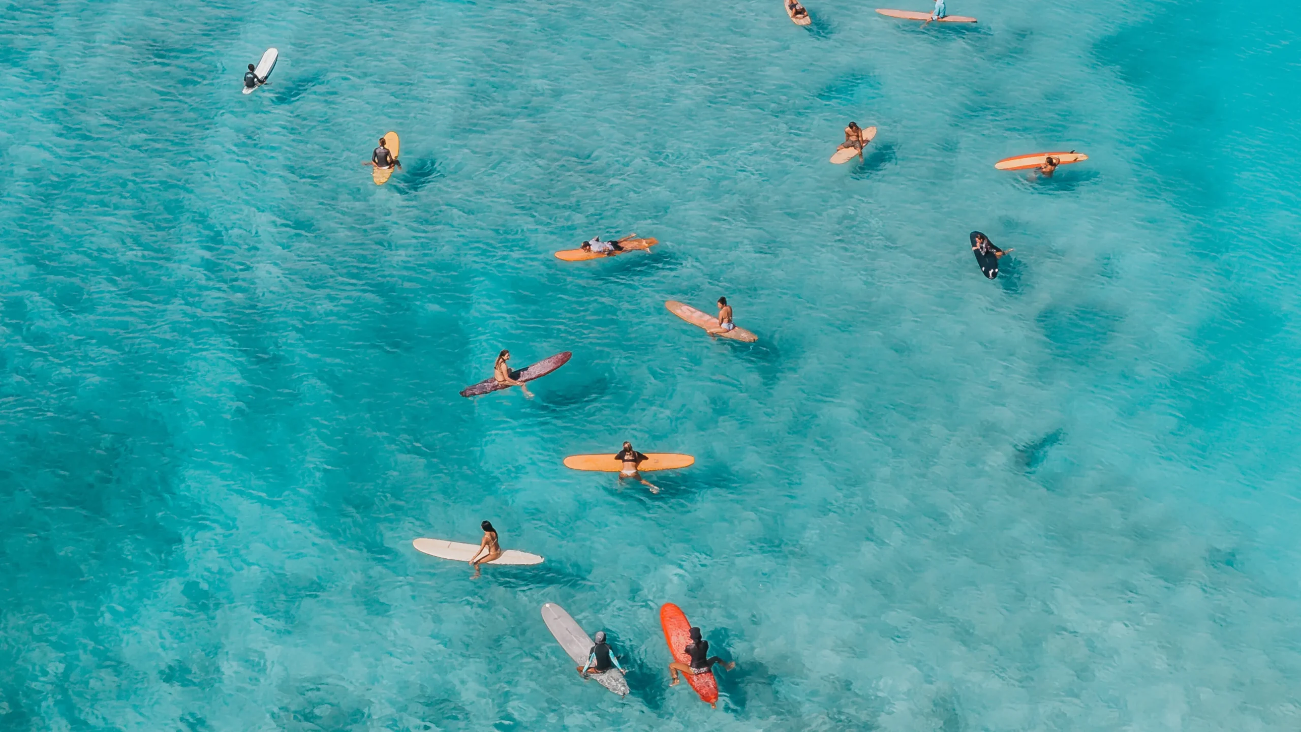 Signup To Cleanerseas Mailing List